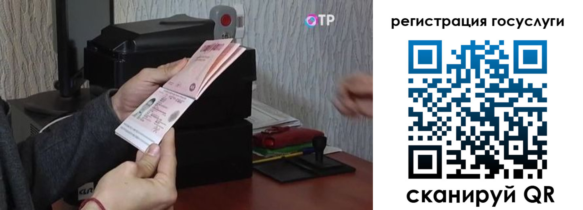 прописка для работы в Лосино-Петровском